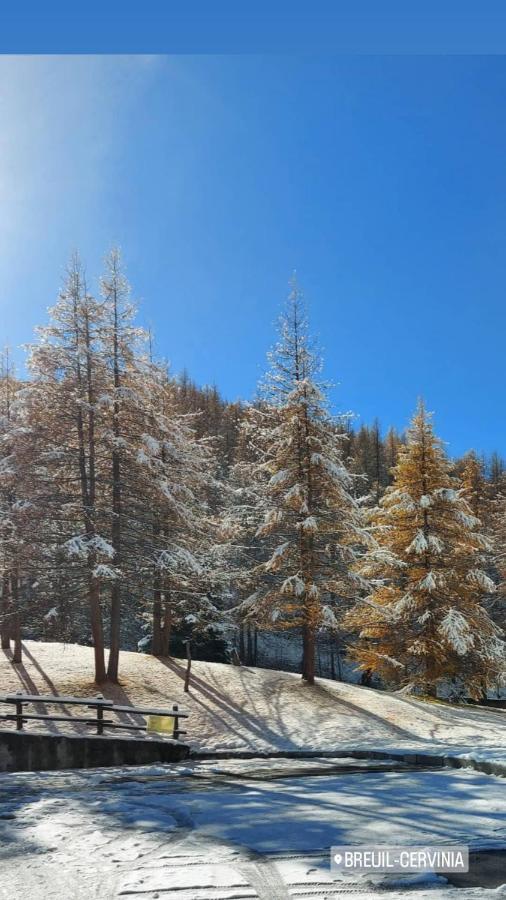 Le Petit Refuge Cervinia Apartamento Breuil-Cervinia Exterior foto